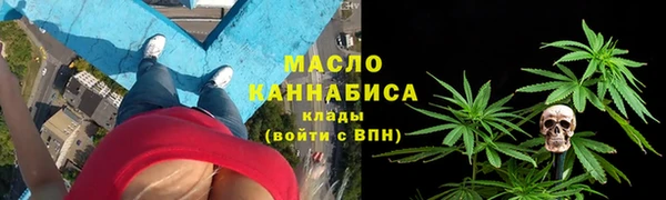 винт Пересвет
