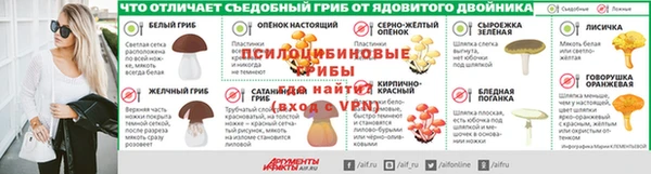ПСИЛОЦИБИНОВЫЕ ГРИБЫ Переславль-Залесский