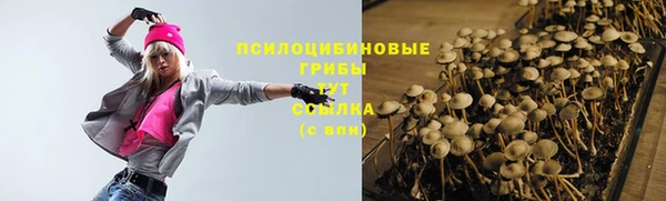 МДПВ Осинники