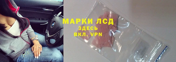 ПСИЛОЦИБИНОВЫЕ ГРИБЫ Переславль-Залесский