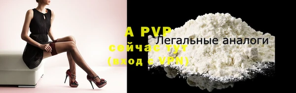 винт Пересвет