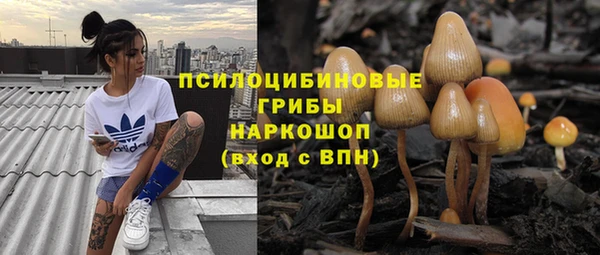 ПСИЛОЦИБИНОВЫЕ ГРИБЫ Переславль-Залесский