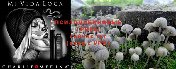 ешки Пестово