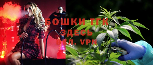 ПСИЛОЦИБИНОВЫЕ ГРИБЫ Переславль-Залесский