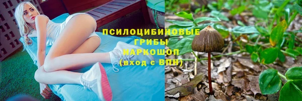 винт Пересвет