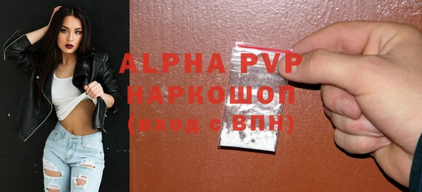 винт Пересвет