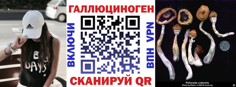 Галлюциногенные грибы прущие грибы Исилькуль